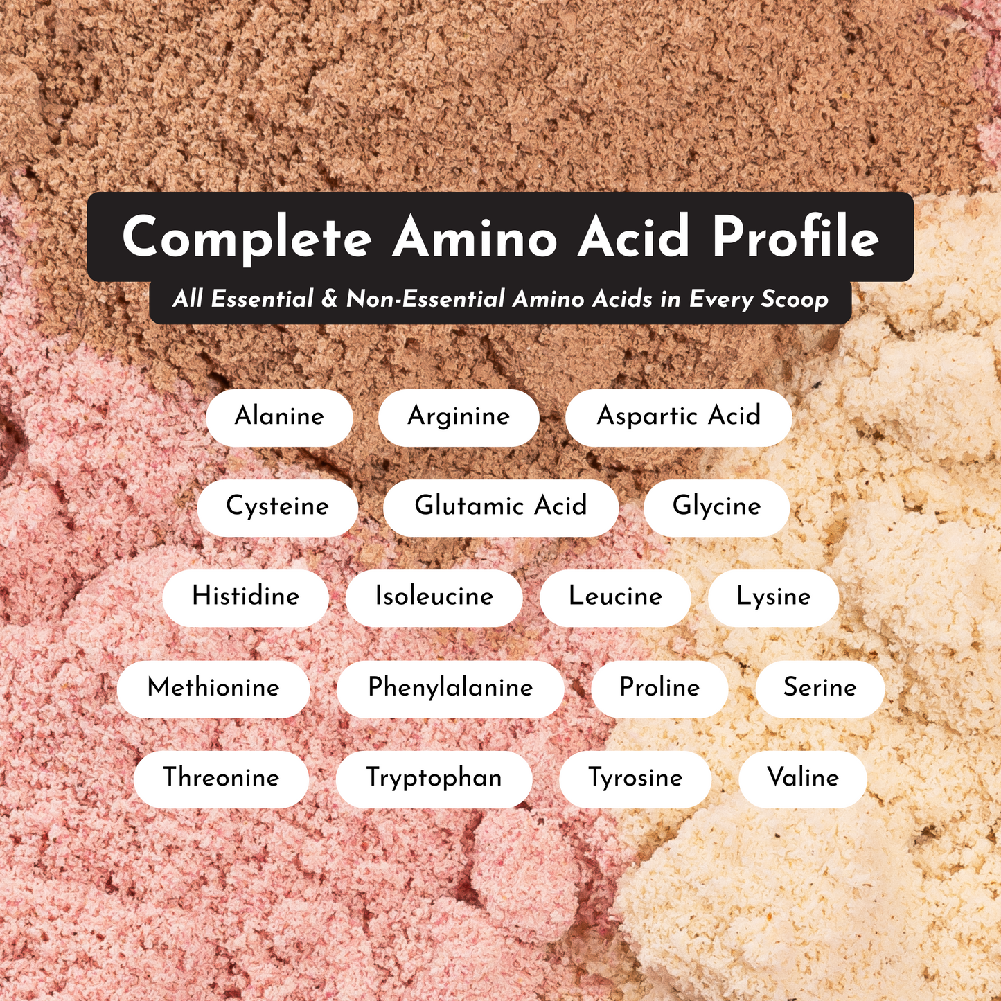 Vanilla Bean Protein Powder