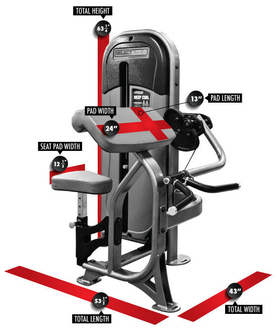 SelectEDGE Bicep Curl