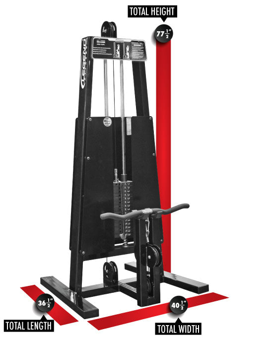 Standing Bicep