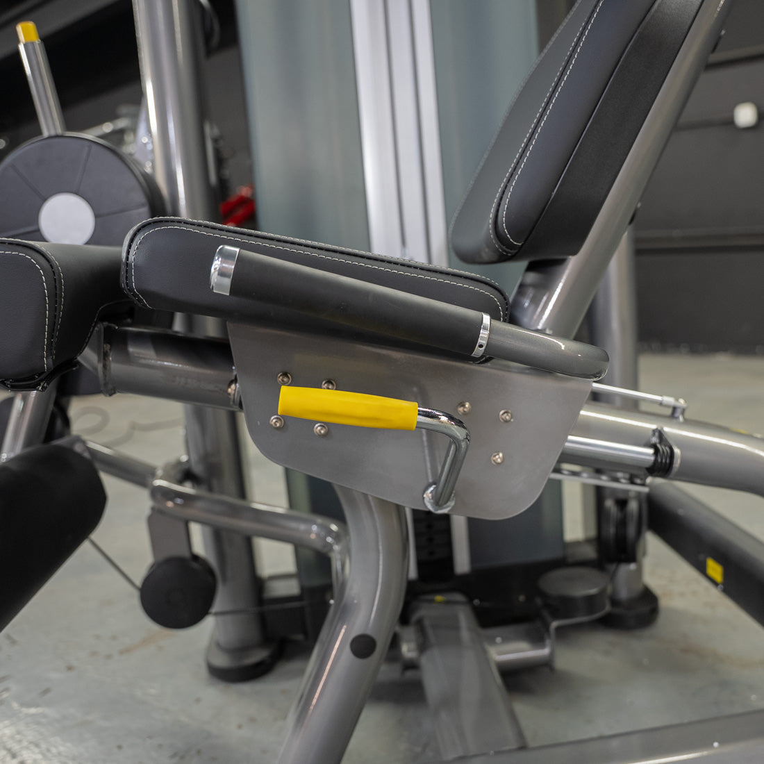 Elite Plus Leg Extension / Seated Leg Curl Combo | Muscle D Fitness
