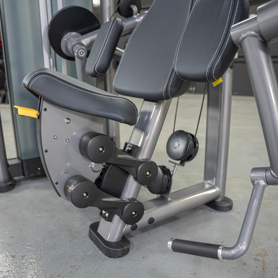 Elite Plus Biceps Curl Machine | Muscle D Fitness