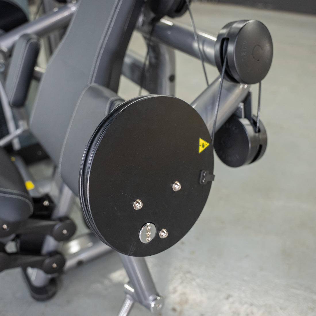 Elite Plus Biceps Curl Machine | Muscle D Fitness