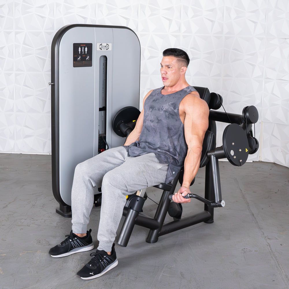 Vogue Biceps Curl - Muscle D Fitness - Adjustable - Pin Selectorized - Arm Curl Machine