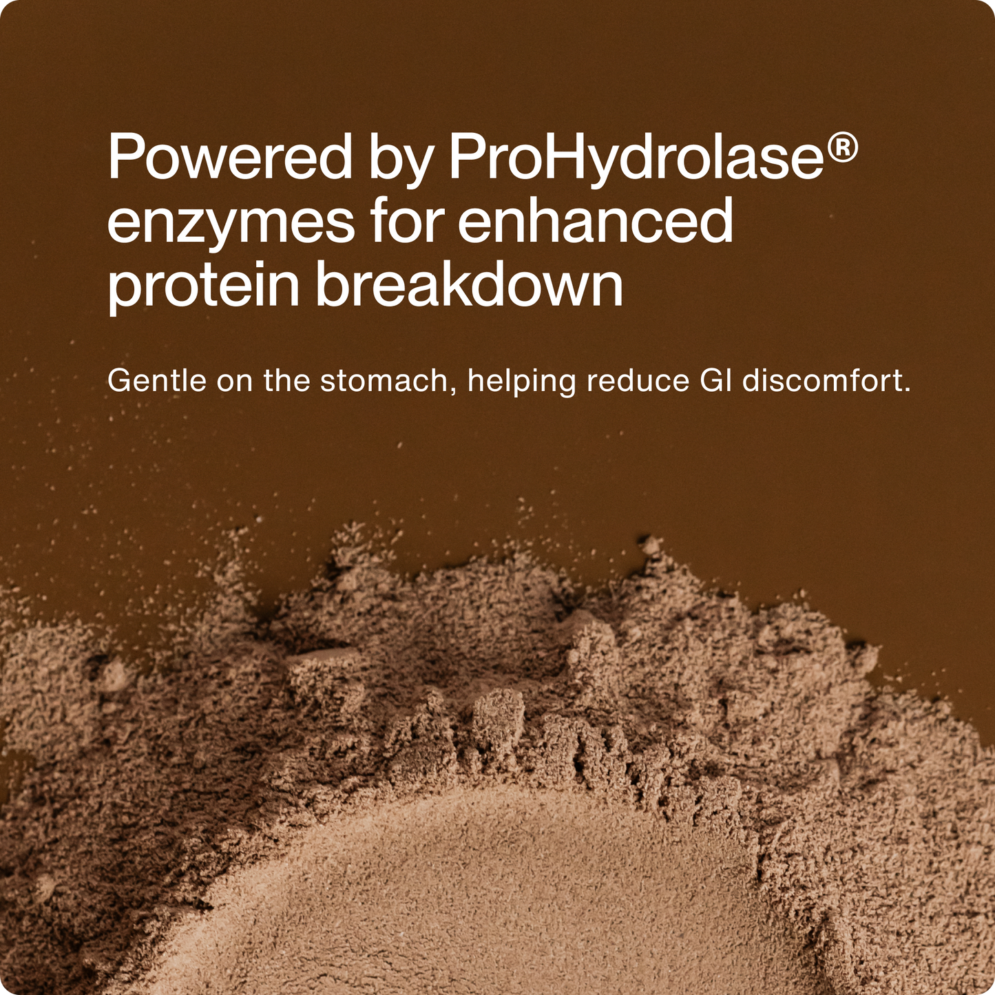 Grass-Fed Whey Protein Isolate Powder - Limited Edition Flavors