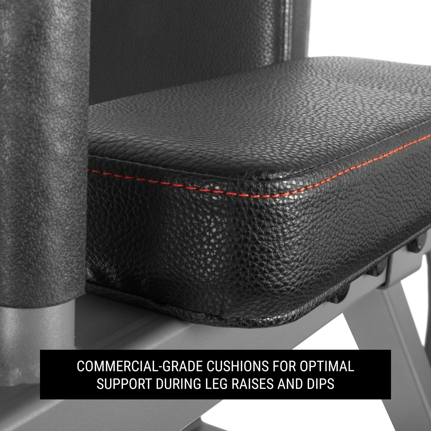 Captain’s Chair Leg Raise w/ Dip Stand & Push Up Station