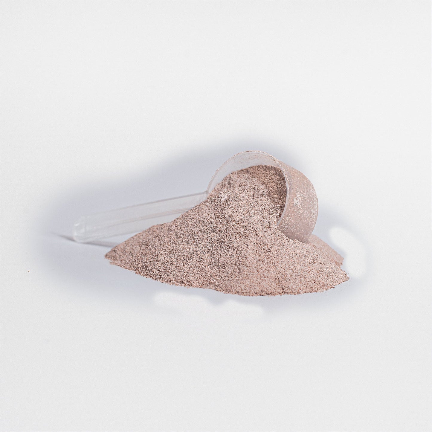 Vanilla Plant Protein Powder