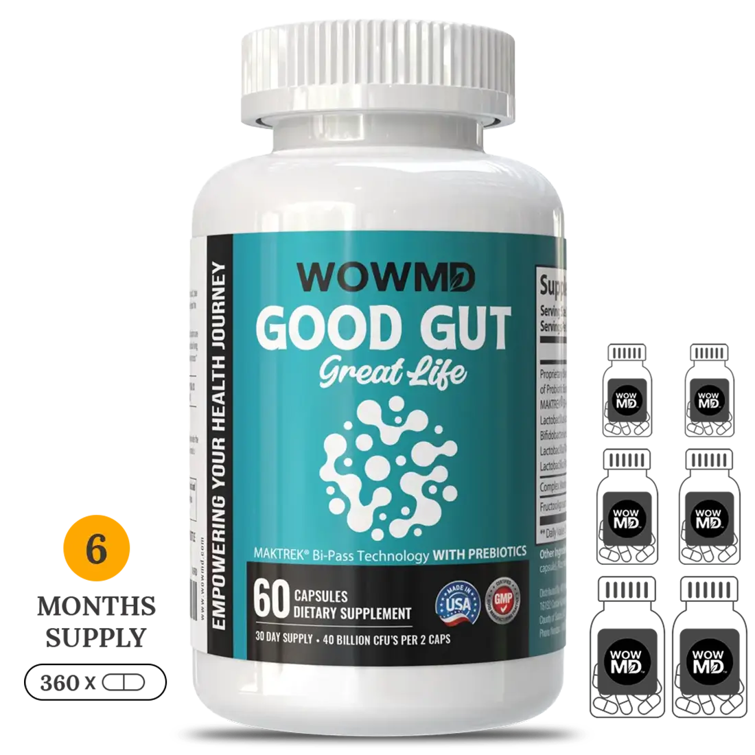 Good Gut Great Life