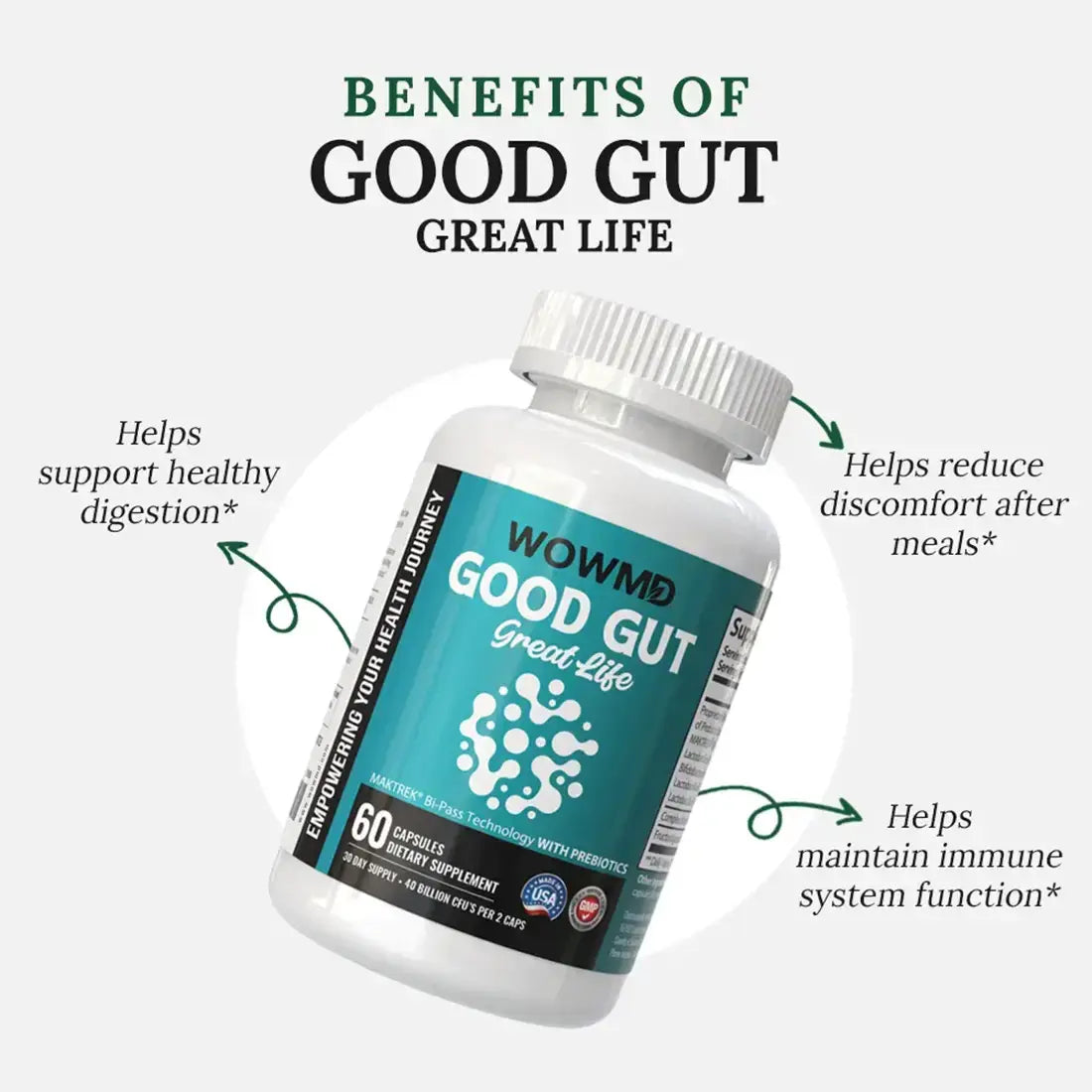 Good Gut Great Life
