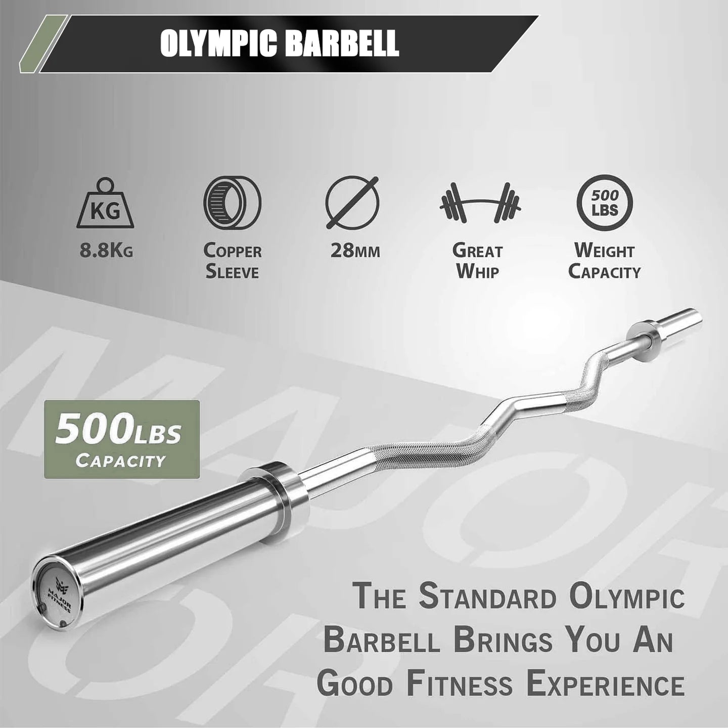 4ft Olympic EZ Curl Barbell